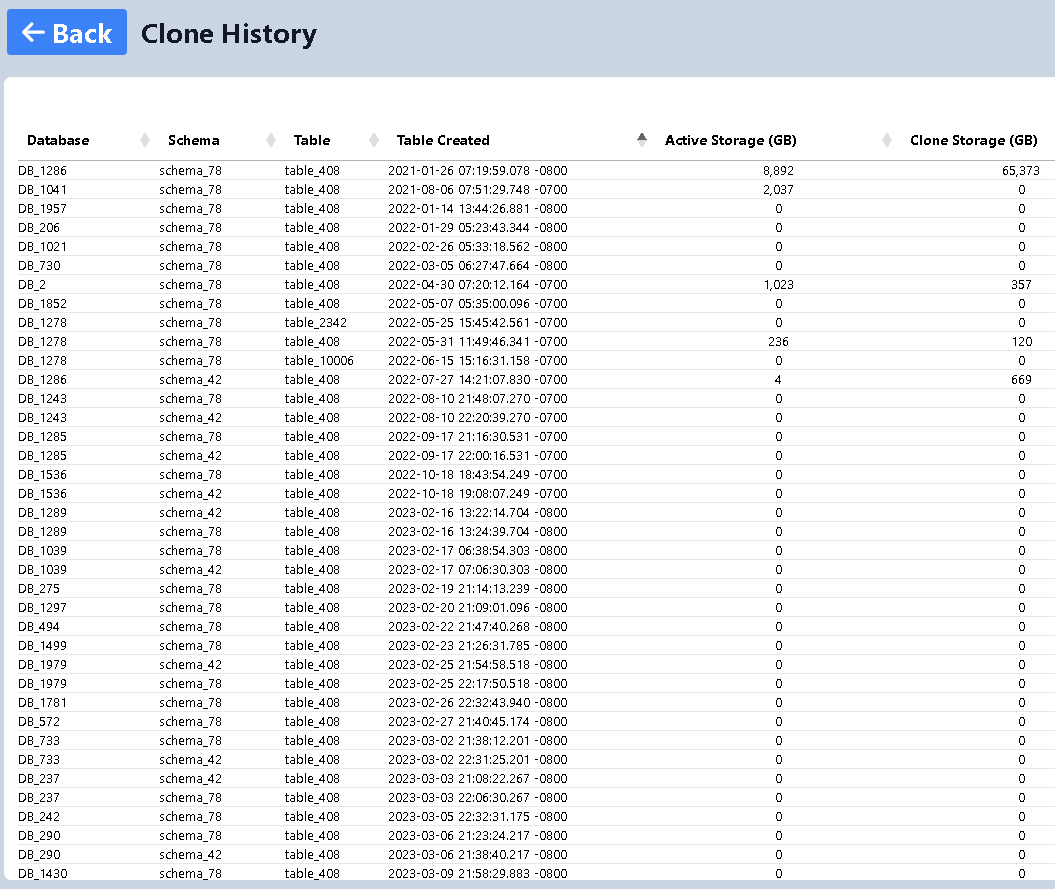 Storage Clone Details