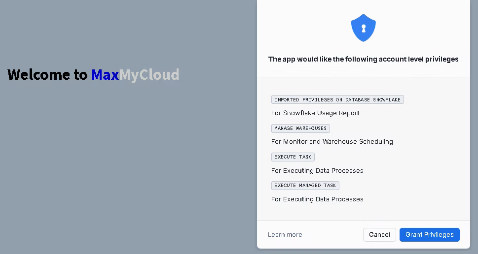 Snowflake Authorization Dialog
